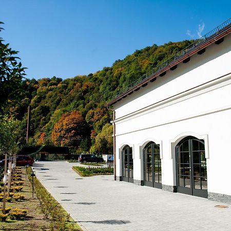 Hotel Palac Jugowice Валбжих Экстерьер фото