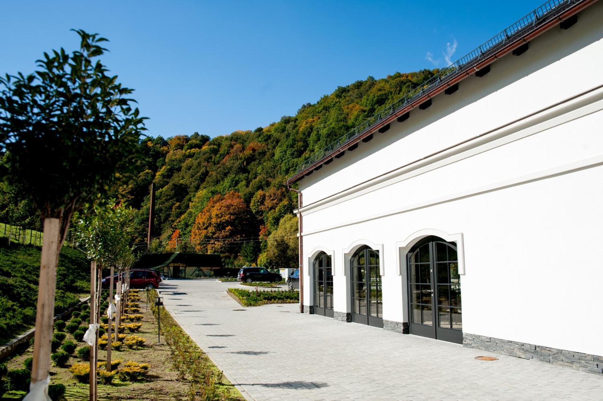 Hotel Palac Jugowice Валбжих Экстерьер фото
